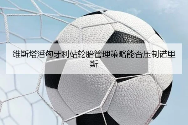 维斯塔潘匈牙利站轮胎管理策略能否压制诺里斯